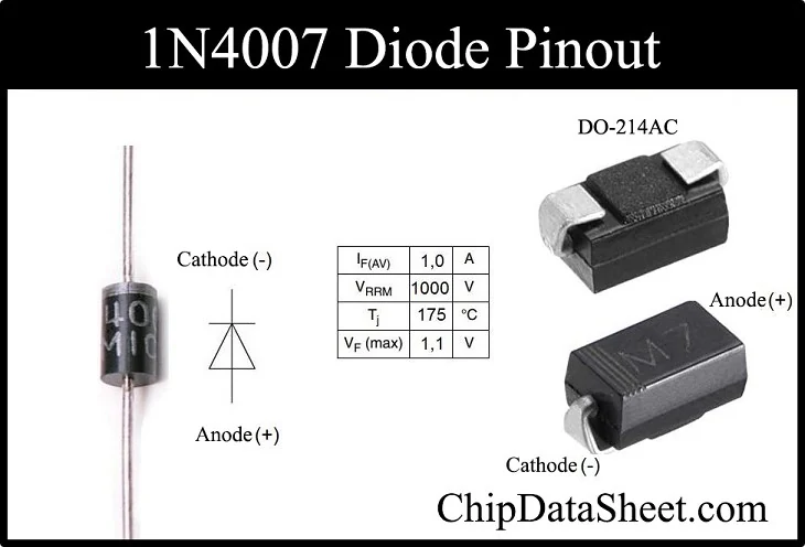 1N4007 component photo